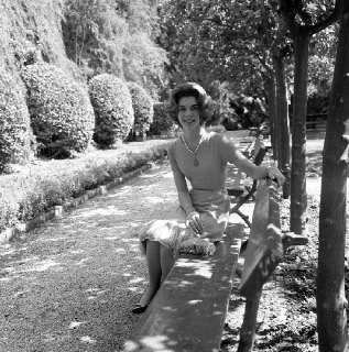 Иллюстрация 1