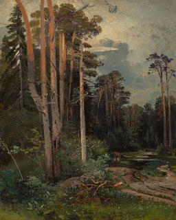 Анализ картины Алексея Саврасова «Лесная дорога в Сокольниках»