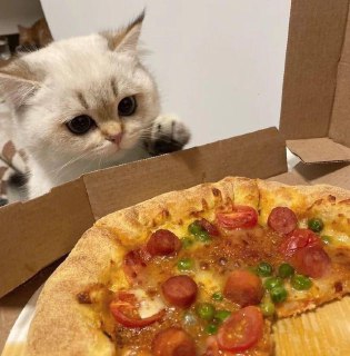 Международный день итальянской кухни