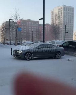 Иллюстрация 1