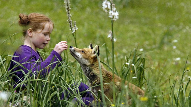 Иллюстрация 5