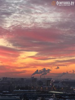 Иллюстрация 7