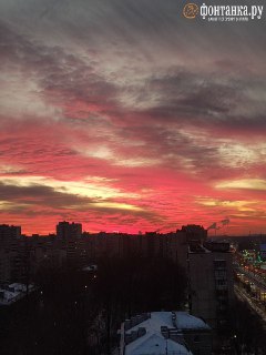 Иллюстрация 8