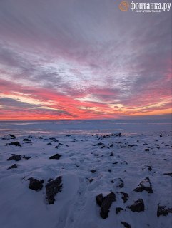 Иллюстрация 9