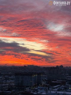 Иллюстрация 10