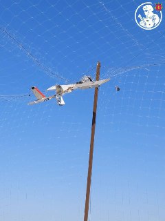 Дрон-камикадзе "Молния-2" запутался в антидроновых сетях