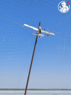 Иллюстрация 2