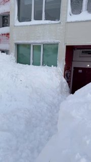 Иллюстрация 1