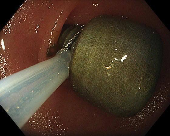 Иллюстрация 2