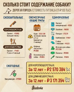 Сколько стоит содержать собаку: расчеты и лайфхаки