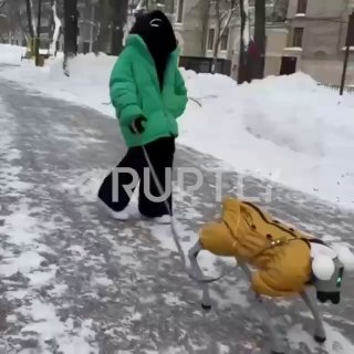 В Москве создан робот Володя и его кибернетический пес