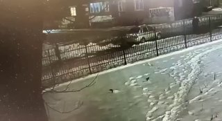 Драка подростков в Майкопе: видео опровергает версию о массовом избиении