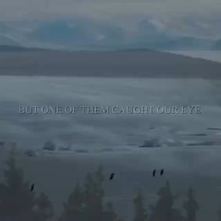 Пингвин-«нигилист» покорил интернет