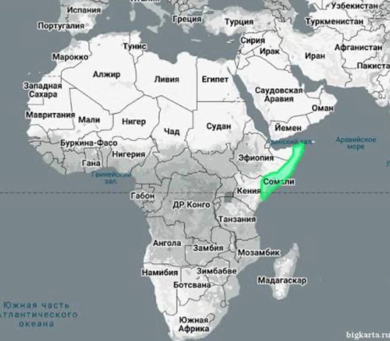 Трамп высмеял Сомали в ООН