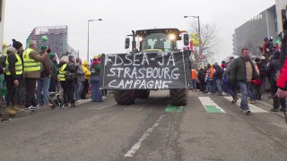 Фермеры протестуют против торгового соглашения ЕС и MERCOSUR