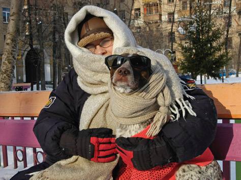 В Москве предупреждают об опасности сильных морозов