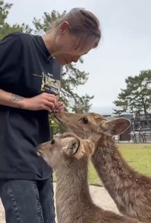 Япония открывает двери для иностранцев