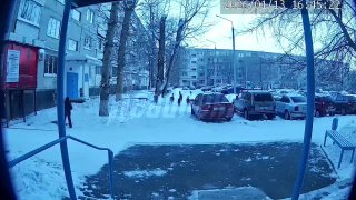 Бродячие собаки нападают на детей в Оренбургской области