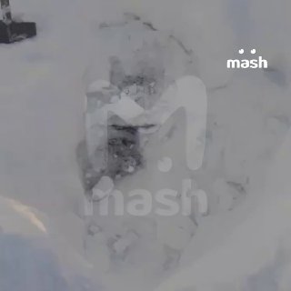 Иллюстрация 1