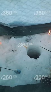 Рыбак спас косулю из ледяной ловушки