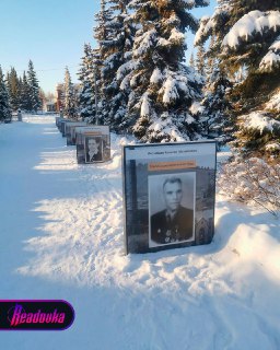 В Башкирии портреты ветеранов установили у земли