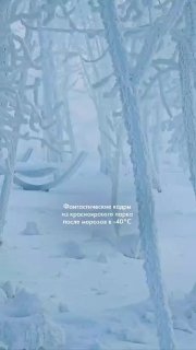 Иллюстрация 1