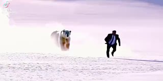 Реакция жителей Гренландии на видео с Трампом и пингвином