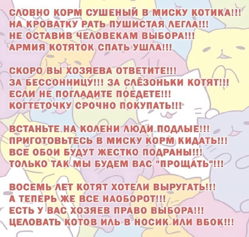 В Госдуме предложили увеличить срок действия авторских прав для ветеранов боевых действий