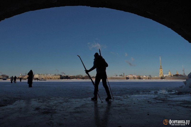 Иллюстрация 6