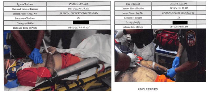 Иллюстрация 6