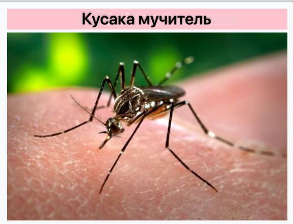 Иллюстрация 8