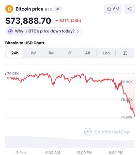 Криптовалютный рынок демонстрирует падение