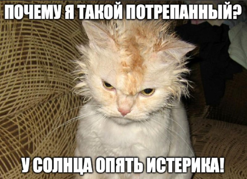 Солнце кошмарит метеозависимых