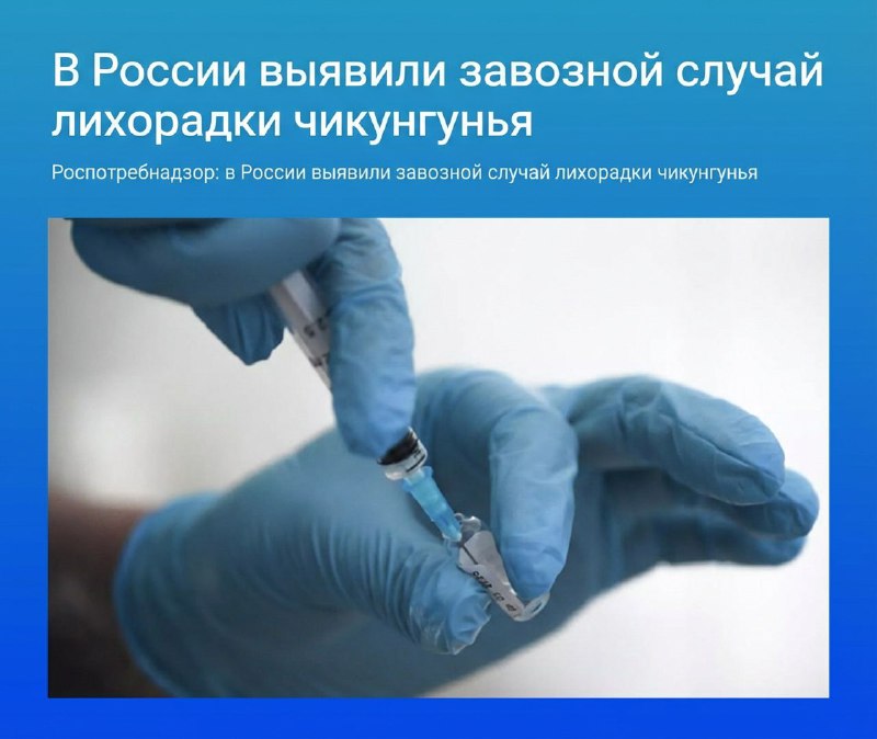 В России зафиксирован случай лихорадки чикунгунья