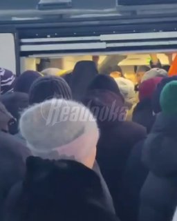 Иллюстрация 1