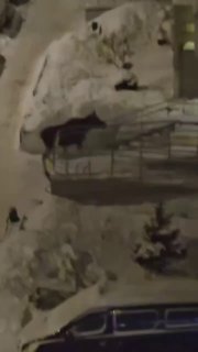 Иллюстрация 1