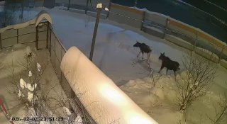 Иллюстрация 3