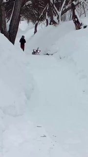 В Тобольске заметили мужчину, гуляющего с роботом