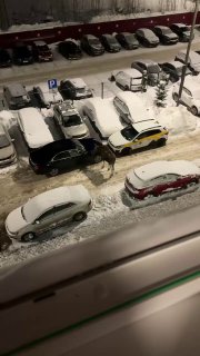 Иллюстрация 1