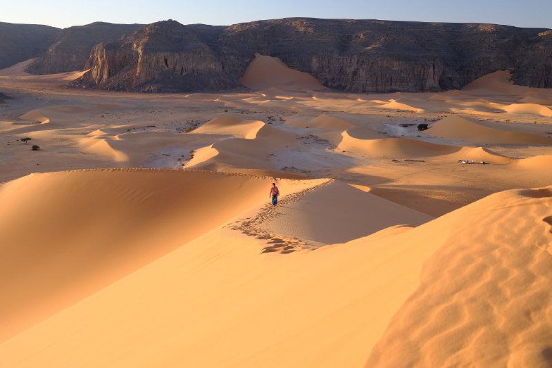 Иллюстрация 8