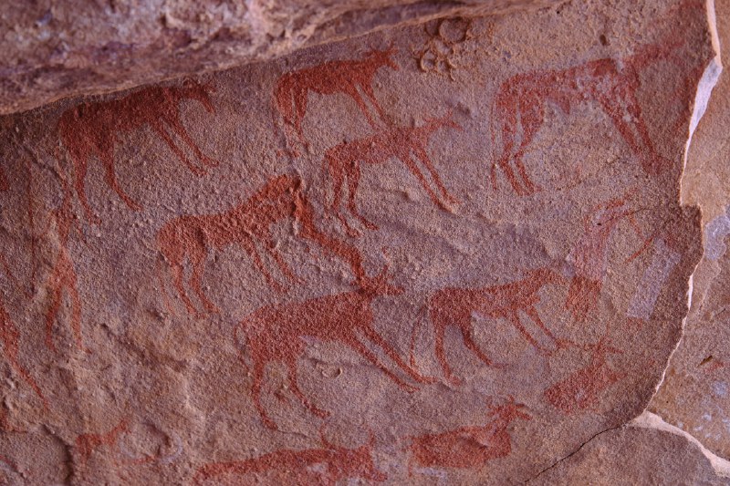 Иллюстрация 9