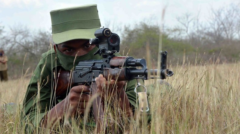 Иллюстрация 1