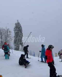 Иллюстрация 1