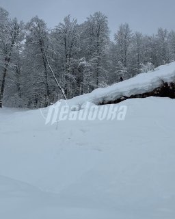 Иллюстрация 2