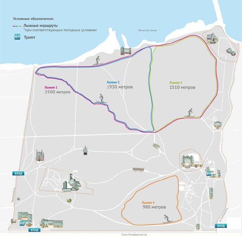 В Петербурге открыты бесплатные лыжные трассы в парке «Александрия»