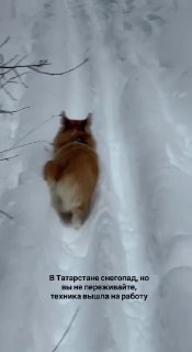 В Татарстане начали расчищать улицы от снега спецтехникой