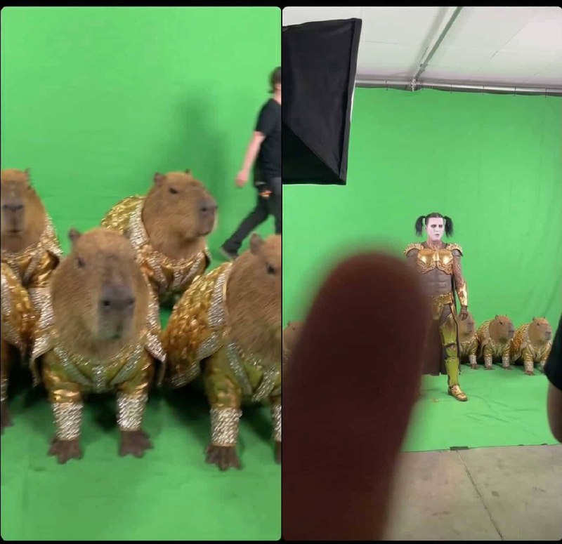 Съёмки клипа Ганвеста с необычными элементами