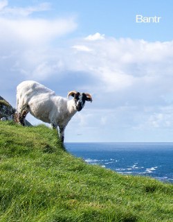 Иллюстрация 4