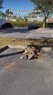 Иллюстрация 1