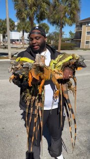 Иллюстрация 4